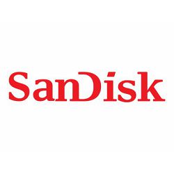 SANDISK Ultra Dual Drive Go USB 128GB SDDDC3-128G-G46NBB