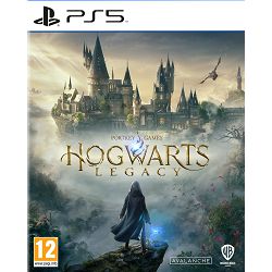 Hogwarts Legacy (Playstation 5) - 5051895413425