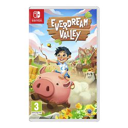 Everdream Valley (Nintendo Switch) - 5056635607539