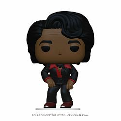 FUNKO POP ROCKS: JAMES BROWN - 889698411400