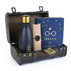 PYRAMID Harry Potter Trouble finds me gift set - 5050293855363