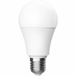 LED Bulb T