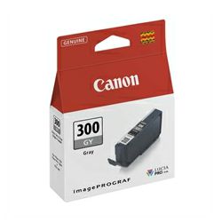 Canon tinta PFI300 siva 4200C001