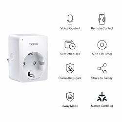 Tp Link Tapo P100M, Mini Smart Wi-Fi Plug, 100-240V, 802.11b/g/n WiFi connection, 2.4 GHz WiFi, Voice Control, Remote Control, Schedule & Timer, Matter-Certified (Apple Home, Alexa, Google Assistant, 